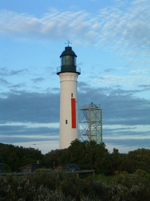 15 Penguin Island.jpg